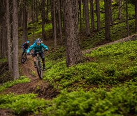 mtb-im-wald-sexten