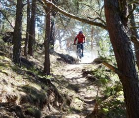 patsch trail (2)