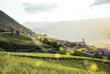 Kurtatsch - Suedtiroler Wein Benjamin Pfitscher