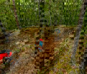 Radurlaub Süden Südtirols 1