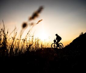 Ein Mountainbiker bei Sonnenuntergang