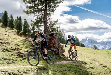 Zwei Mountainbiker fahren einen Trail
