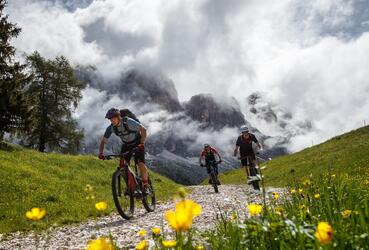 Drei Mountainbiker fahren einen Trail bergauf