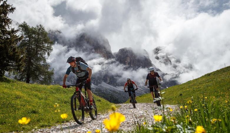 Drei Mountainbiker fahren einen Trail bergauf