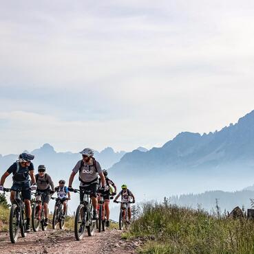 A group of cyclists riding along a forest road