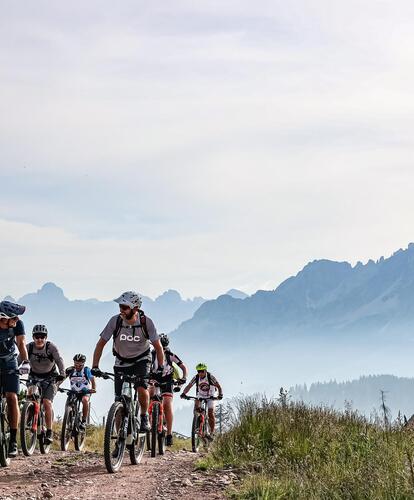 Eine Gruppe von Radfahrern ist auf einem Forstweg unterwegs