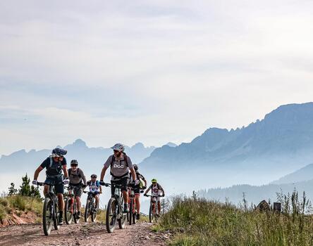 Eine Gruppe von Radfahrern ist auf einem Forstweg unterwegs