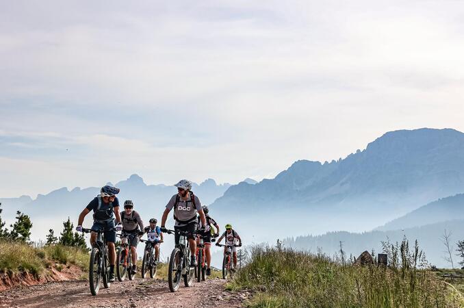 A group of cyclists riding along a forest road