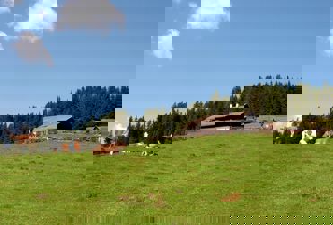 Lanzwiesenalm_Malga Lanzwiese.JPG