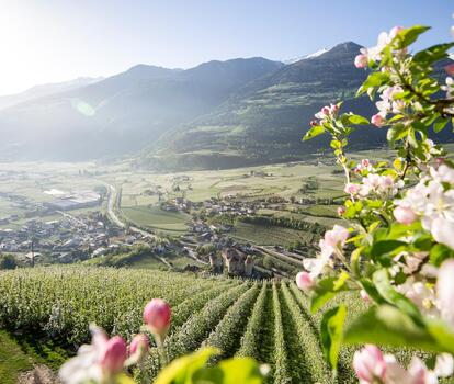 Spring in South Tyrol