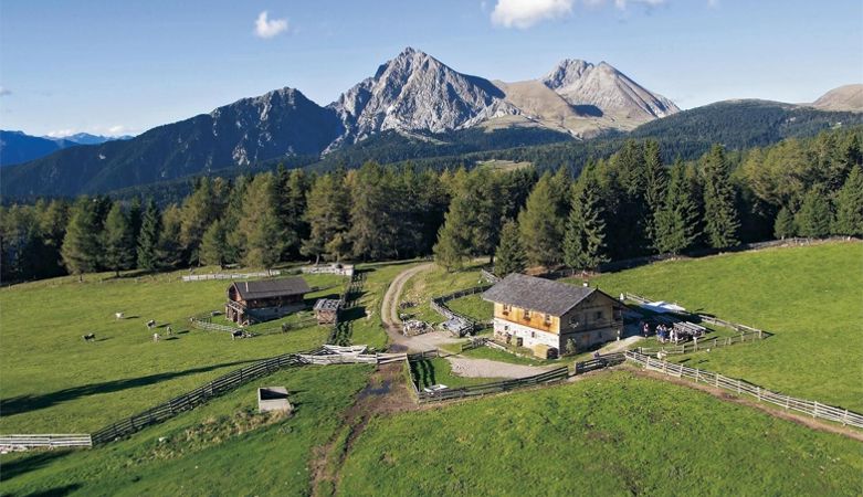 Wurzer Alm in Hafling, Südtirol
