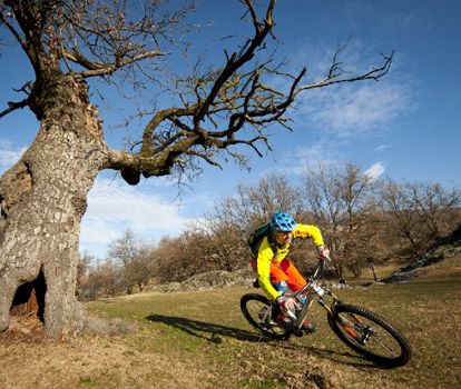 liteville-andreas-vigl107b