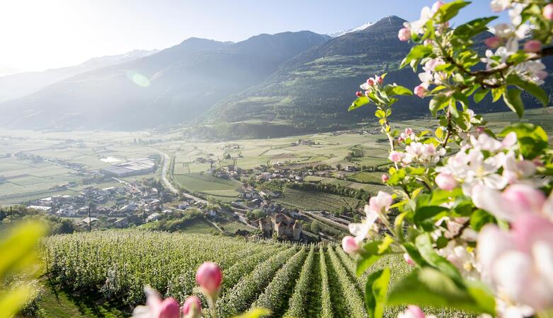 Spring in South Tyrol