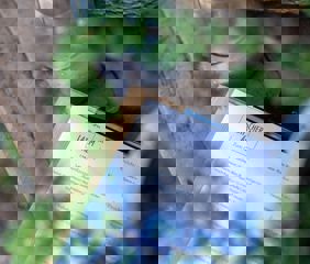 gourmet-latscher-alm