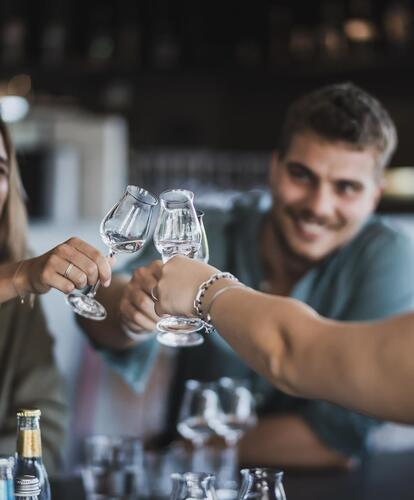 Close-up of three people clinking glasses together.