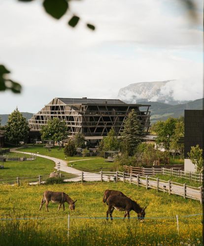 bikehotel-pfo-sl-green-luxury-1