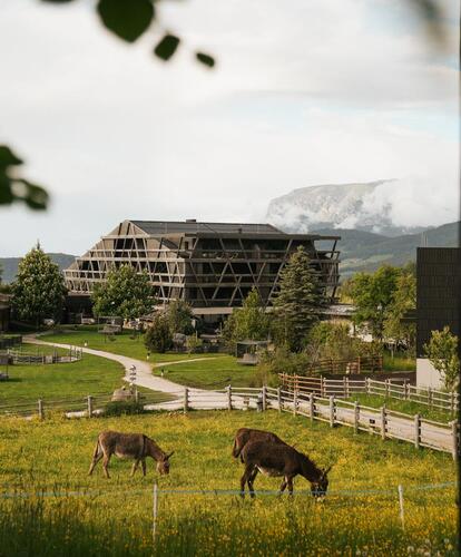Modernes Bikehotel Pföstl in grüner Wiesenlandschaft mit weidenden Eseln im Vordergrund.